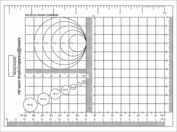 Disposable Dissection Board 9x12 inch Disposable Dissection Board