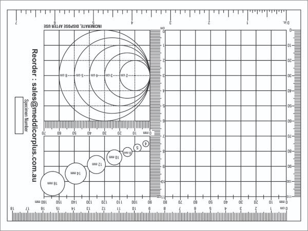 Disposable Dissection Board – Small  8 Lab requirements