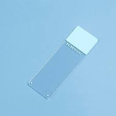 Microscope Slides – Standard & Frosted (White/Blue Ends) Measuring Jug