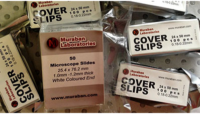 Cover Slips